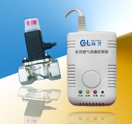 家用燃?xì)庑孤┨綔y器 一氧化碳報(bào)警器專業(yè)制造商歡迎咨詢高清圖片 高清大圖