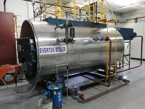 燃?xì)忮仩t輔機有哪些,工業(yè)鍋爐系統(tǒng)配置軟水設(shè)備原因